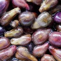 Audifort Grape Seed Ingredient